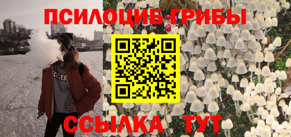 Донской  Псилоцибиновые грибы Cubensis  Вход с VPN 
